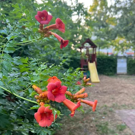 Apartamento Miro Ház Siófok